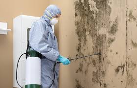 Reliable Slater Marietta, SC Mold Removal Solutions